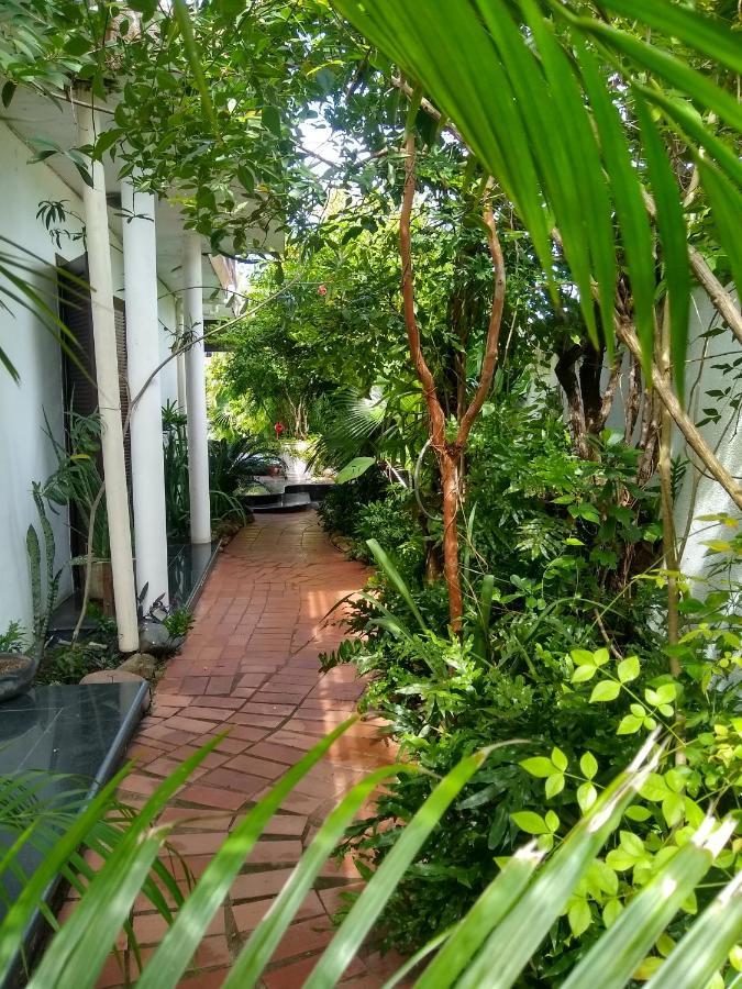 Guesthouse Mata Da Praia Vitória Eksteriør billede