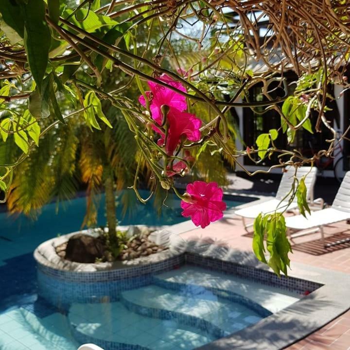 Guesthouse Mata Da Praia Vitória Eksteriør billede